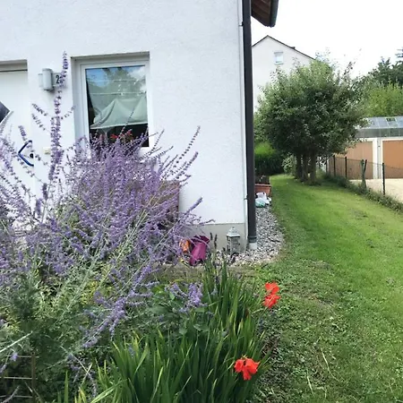 House With Castle View & Art Homestay *
